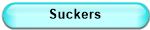 Suckers